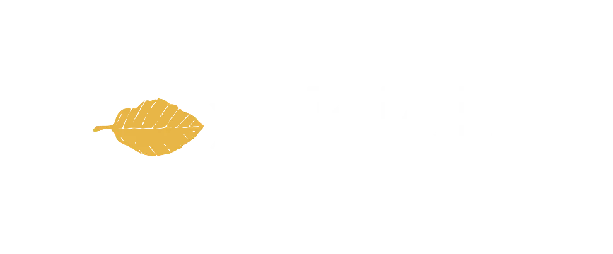 Xylolab - Atelier bois partagé et fablab